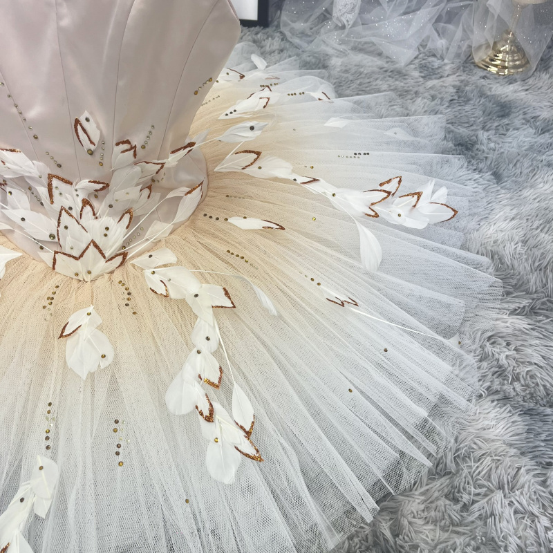 Fairy Ballerina Costume