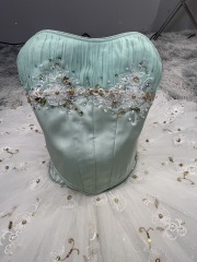 Sylvia Ballet Costume