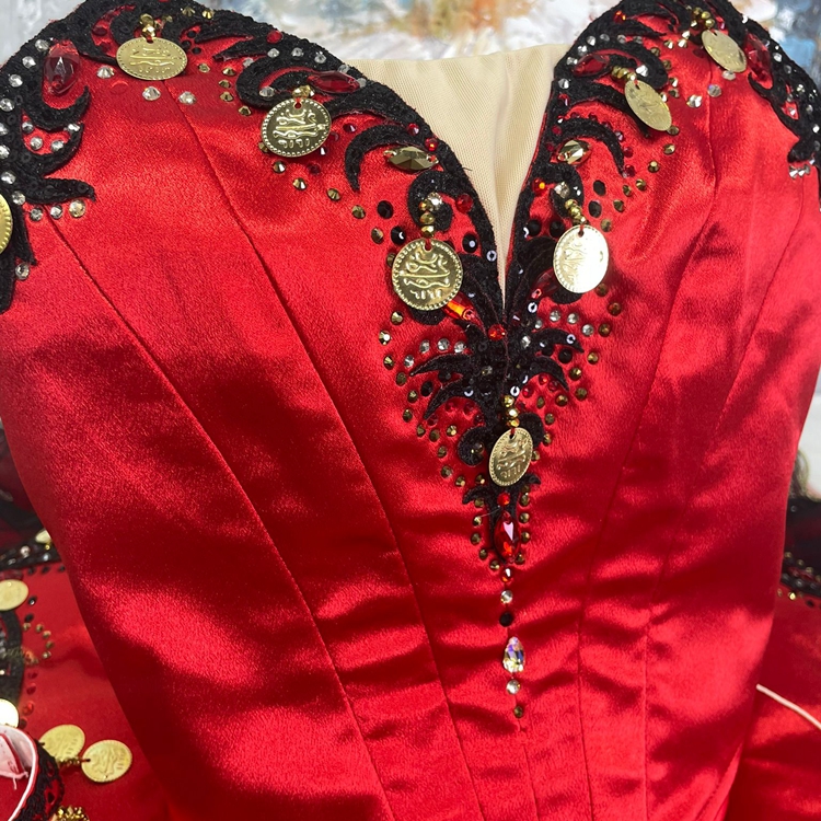 Don Quixote Dance Costume