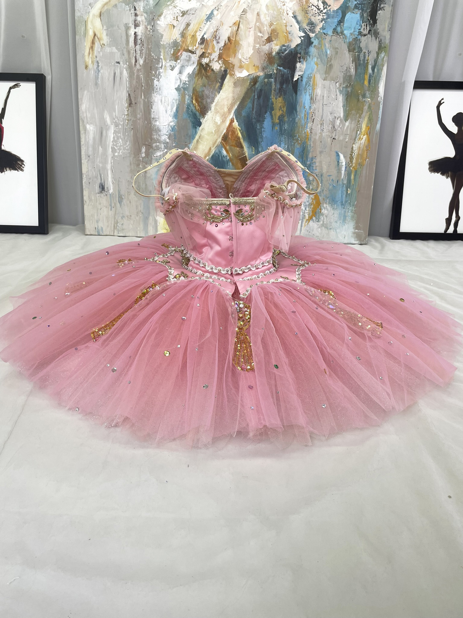 Sugar Plum Fairy Professional Costume