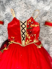 Don Quixote Pas De Deux Costume