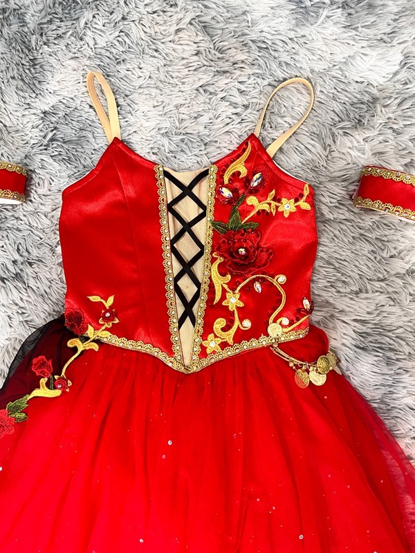 Don Quixote Pas De Deux Costume
