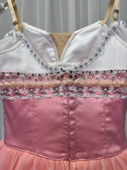 Princess Giselle Costume