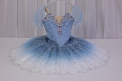 Princess Florine Costume