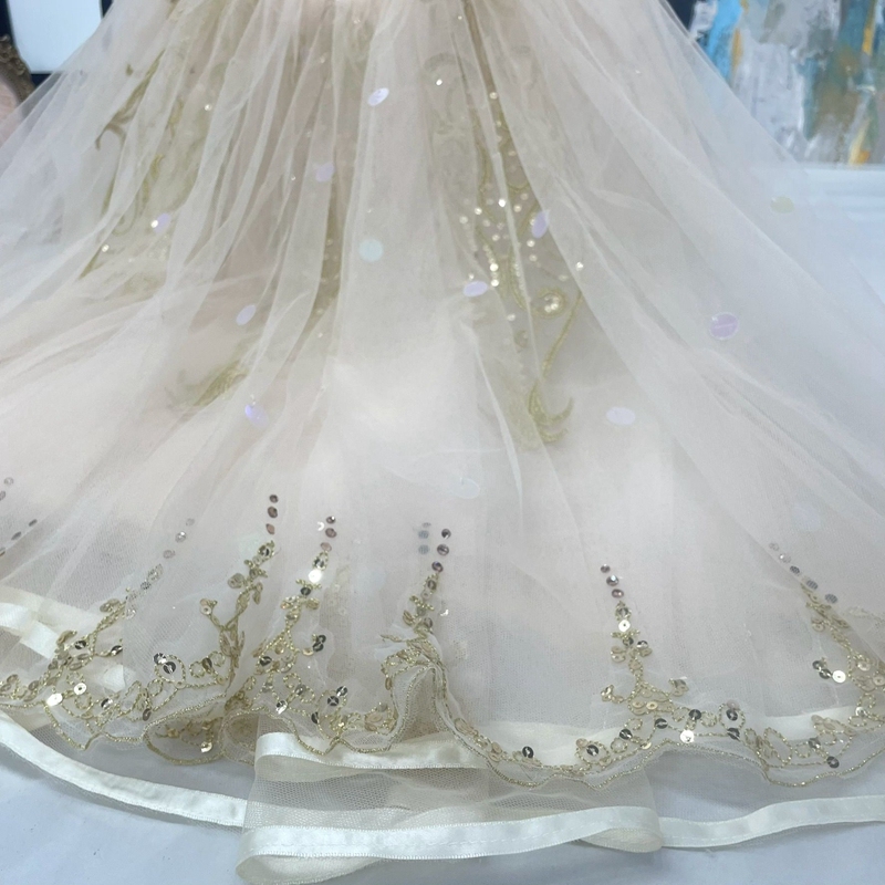 Professional Ballet Tutu Dress