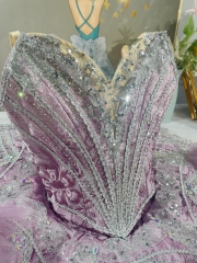 Sugar Plum Fairy Dance Costume