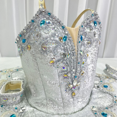 Professional Snow Queen Ballet Tutu