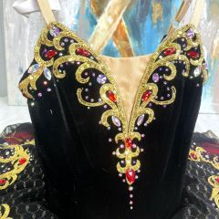 Don Quixote Kitri Costume