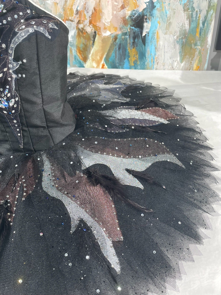Black Tutu Black Swan