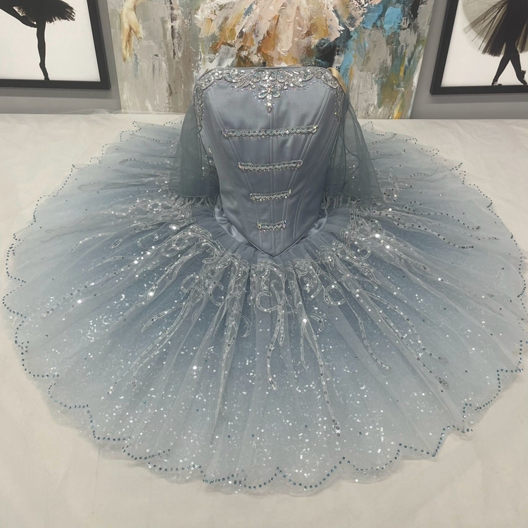 Cinderella Dance Ballet Costume
