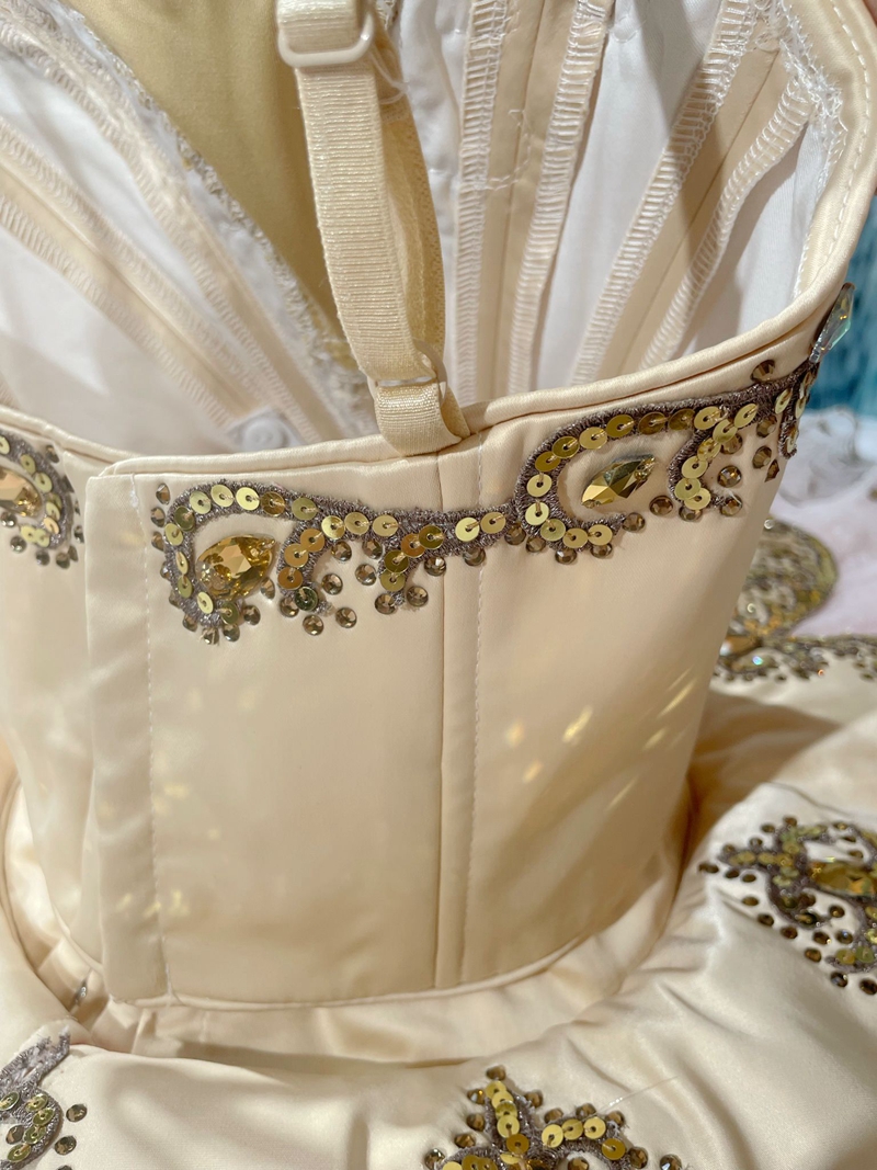 Sugar Plum Fairy Costume
