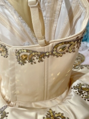 Sugar Plum Fairy Costume