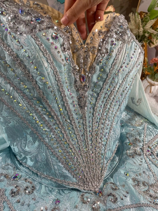 Sugar Plum Princess Costume