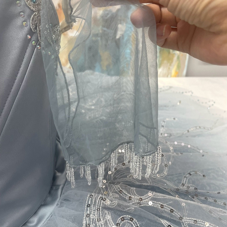 Cinderella Dance Ballet Costume