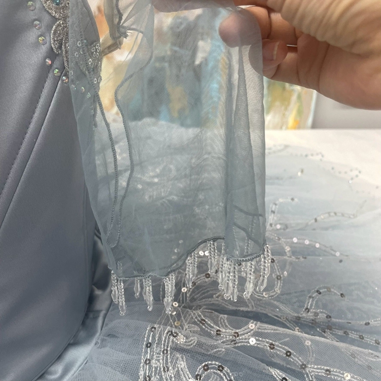 Cinderella Dance Ballet Costume