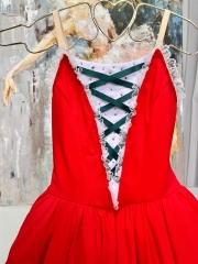 Ballerina Cipollino Costume