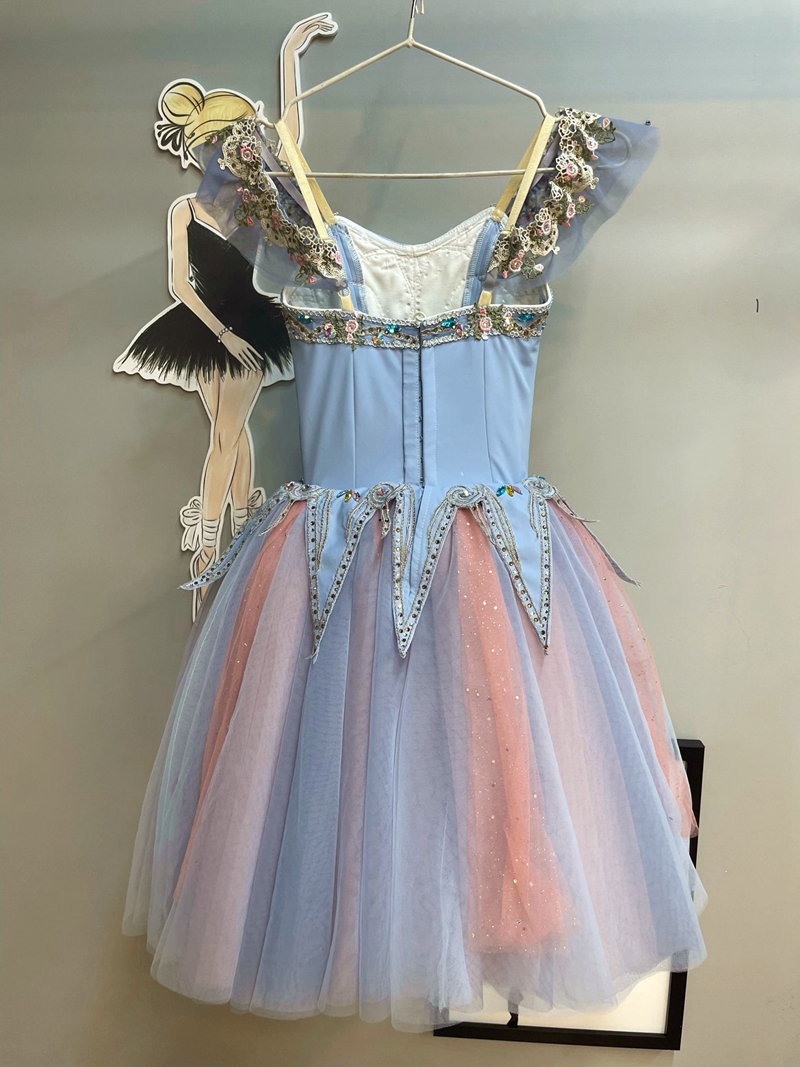 Cinderella Dance Costume