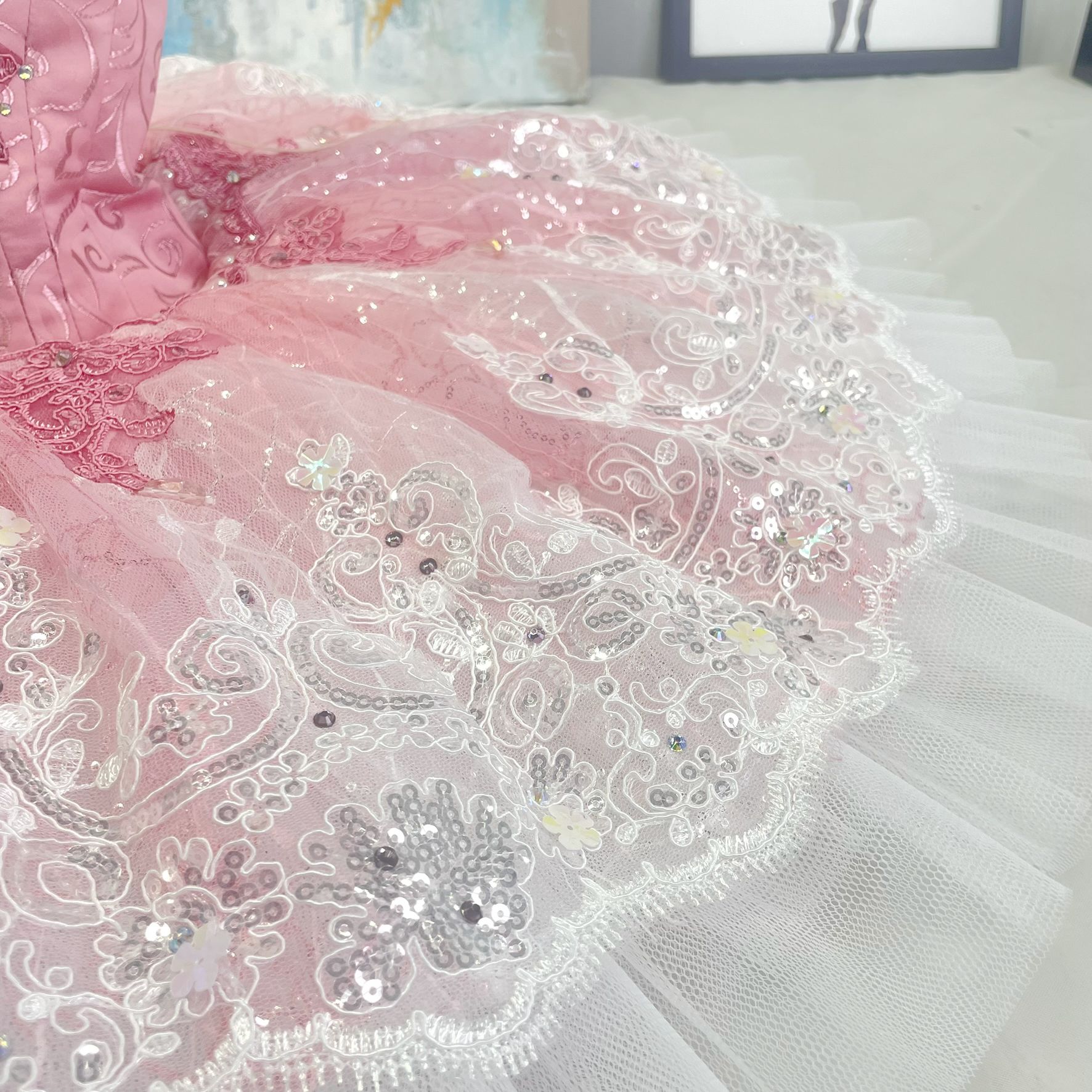 Sleeping Beauty Ballerina Costume Tutu