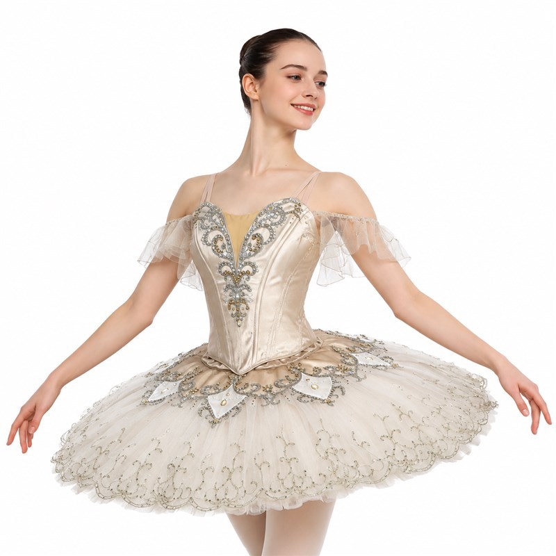 Cinderella Dance Ballet Tutu