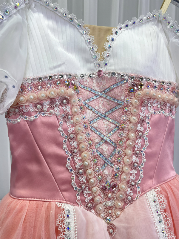 Princess Giselle Costume