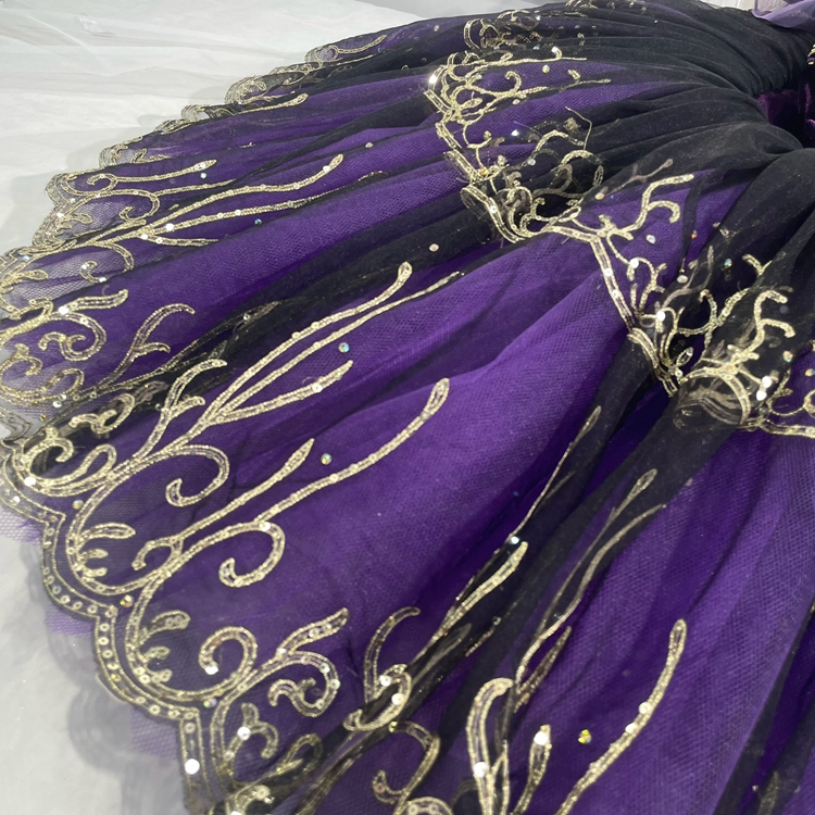 La Bayadere Gamzatti Ballet Costume