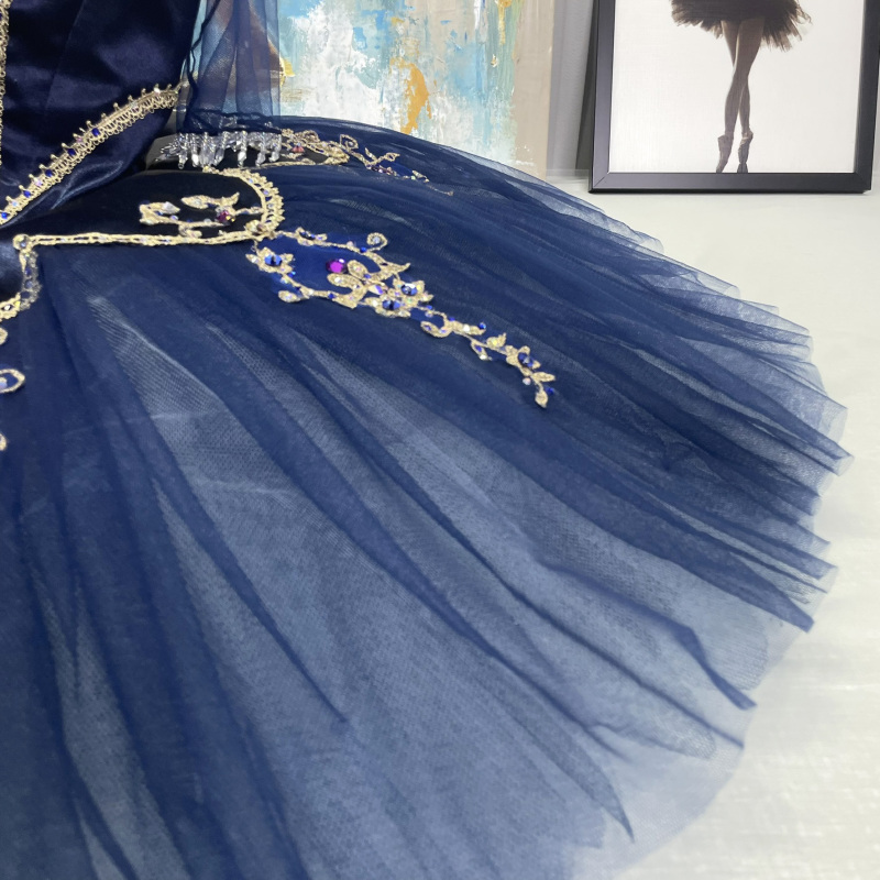 Raymonda Ballerina Costume Tutu