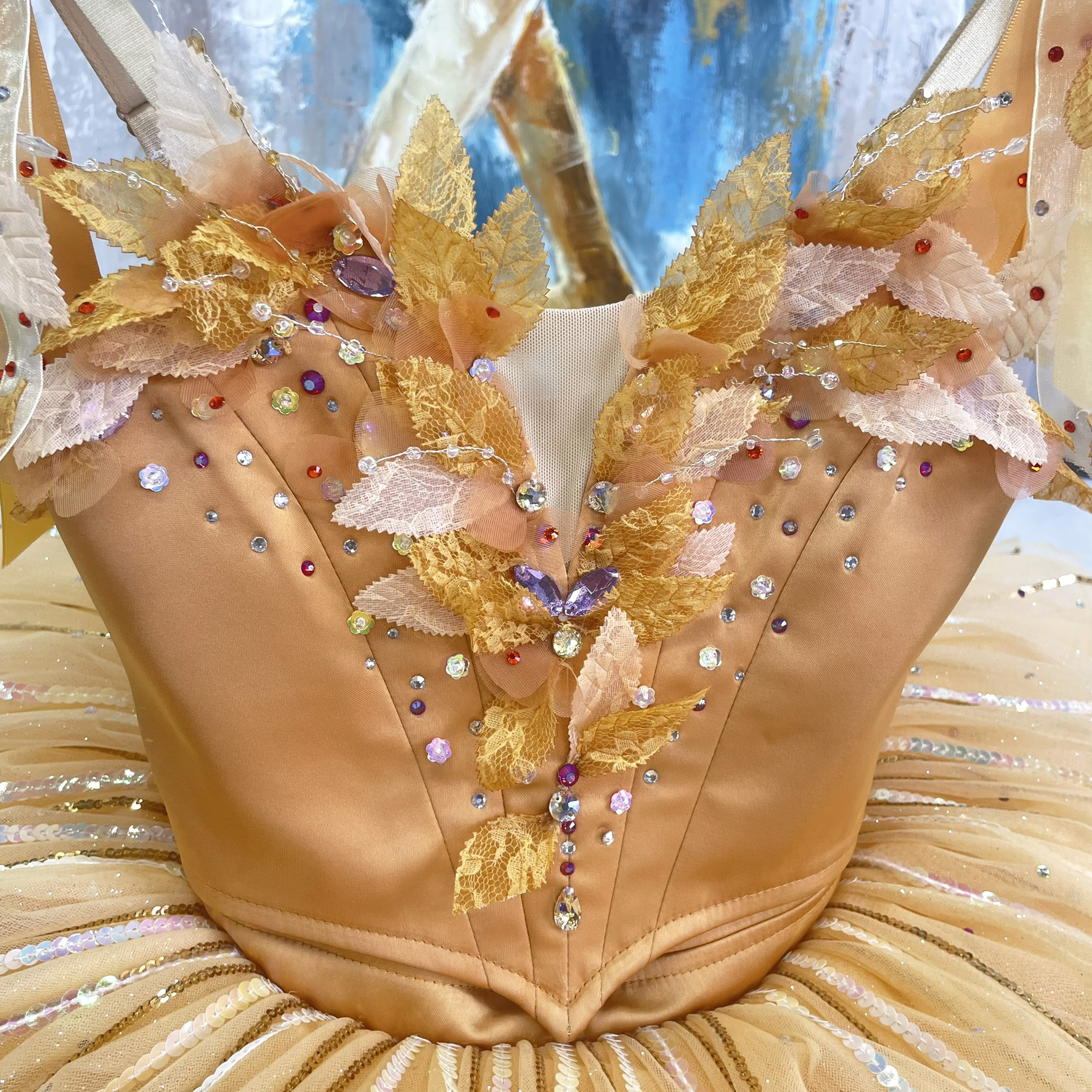 Fairy of Generosity Ballet Costume