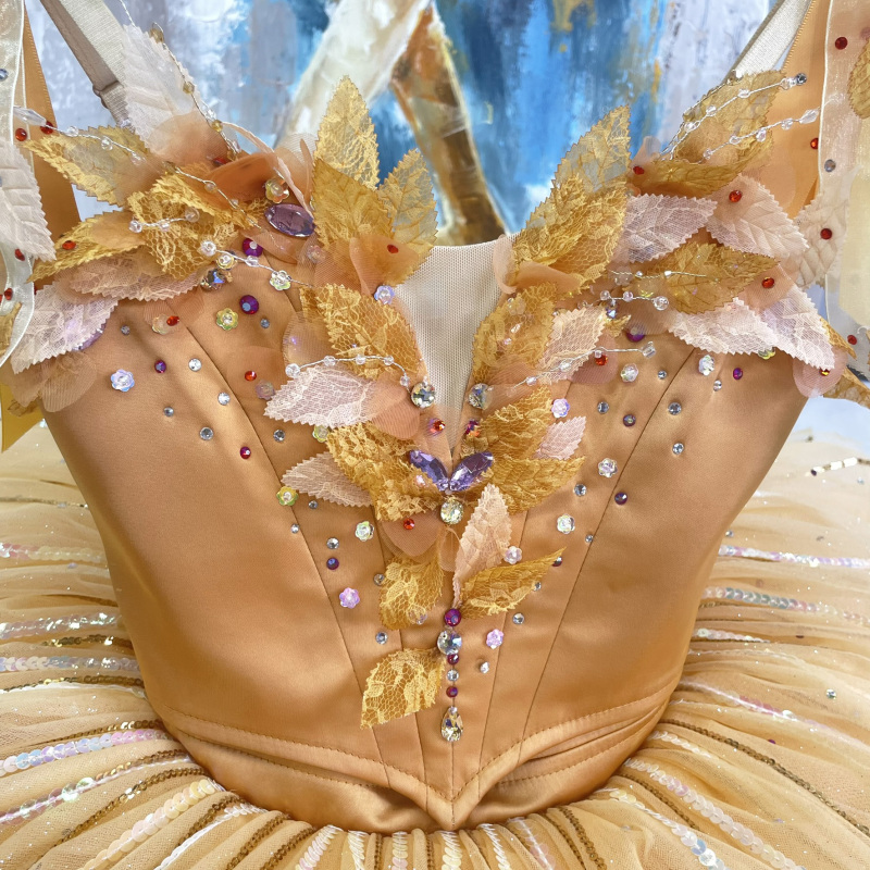 Fairy of Generosity Ballet Costume