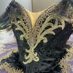 Paquita Ballet Tutu