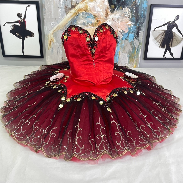 Don Quixote Dance Costume