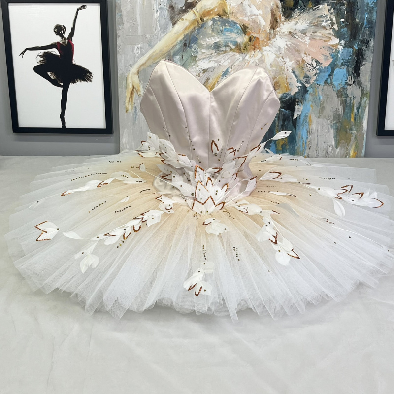 Fairy Ballerina Costume