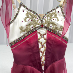 Talisman Ballet Dress