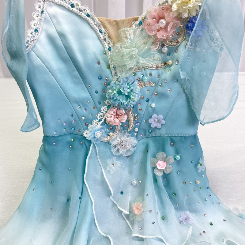 Talisman Ballerina Costume