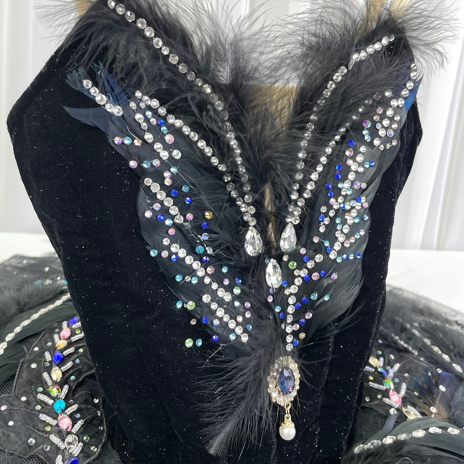 Adult Swan Lake Costume