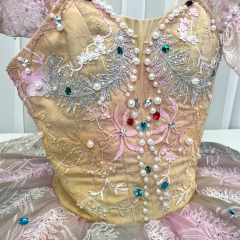 Aurora Costume Child