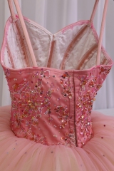 Sugar Plum Fairy Dress
