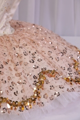 Sugar Plum Fairy Costume Costume