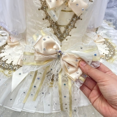 Princess Aurora Costume Adults