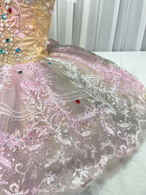 Aurora Costume Child