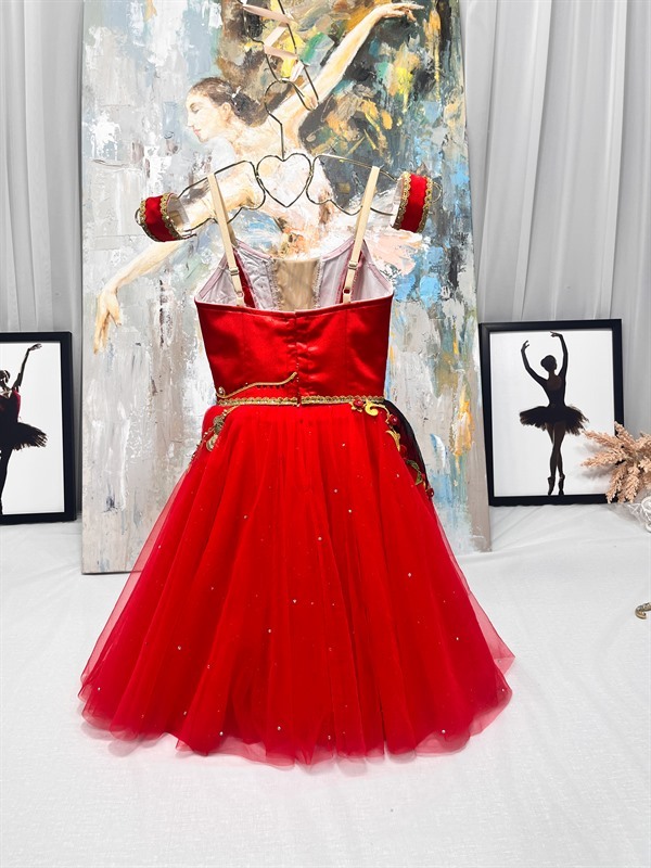 Don Quixote Pas De Deux Costume