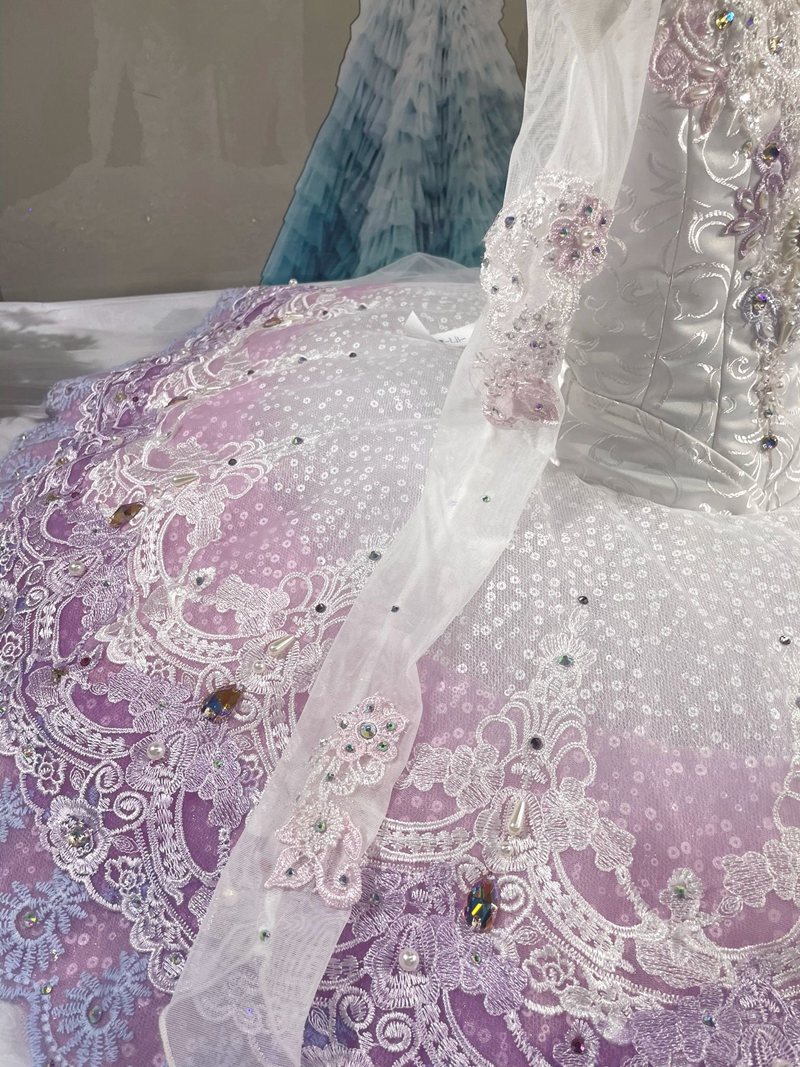 Sleeping Beauty Fairies Ballerina Costume