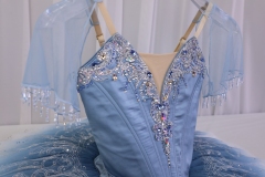 Princess Florine Costume