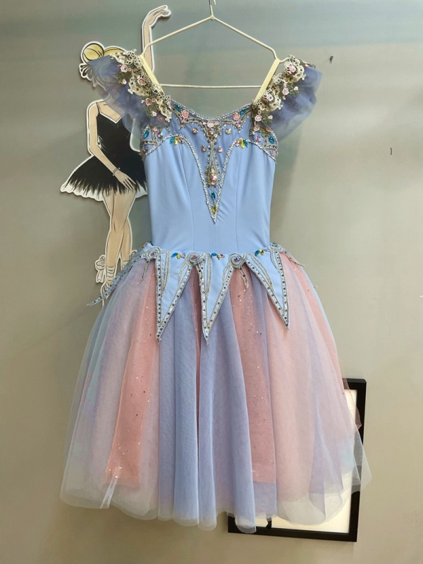 Cinderella Dance Costume