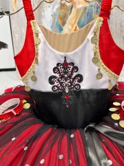 Esmeralda Balelrina Costume