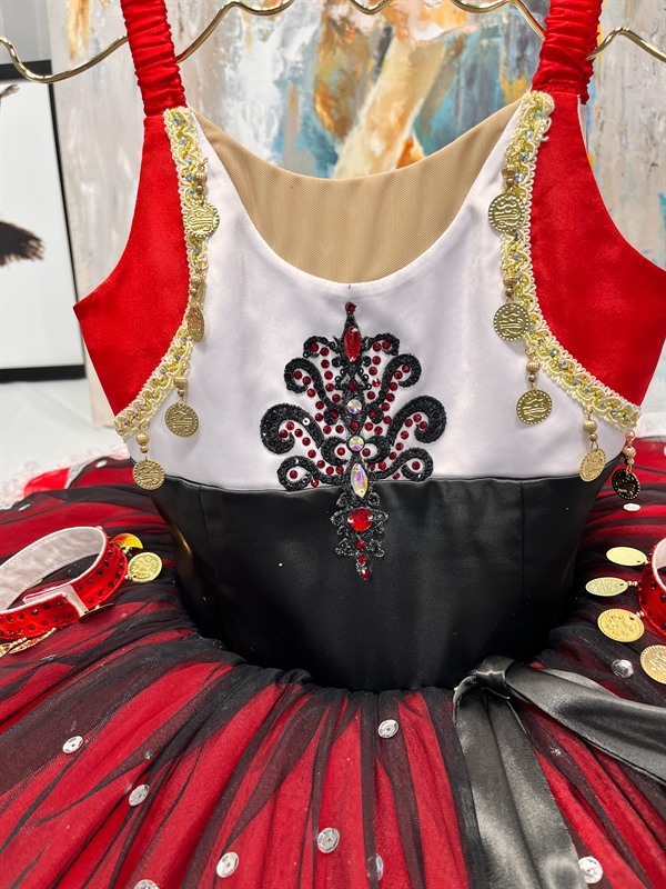 Esmeralda Balelrina Costume