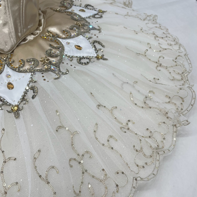 Cinderella Dance Ballet Tutu