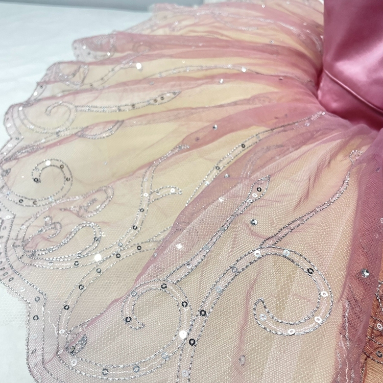 Fairy Doll Ballet Tutu Dress