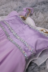 Medora Ballerina Costume Tutu