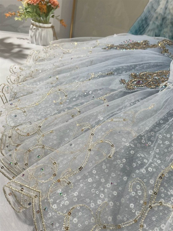 Professional Snow Queen Ballet Costume