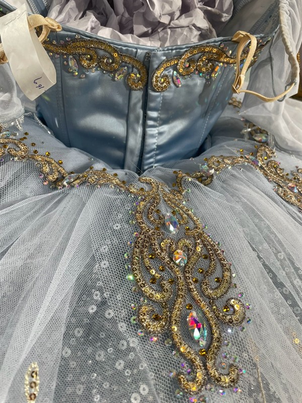 Professional Snow Queen Ballet Costume